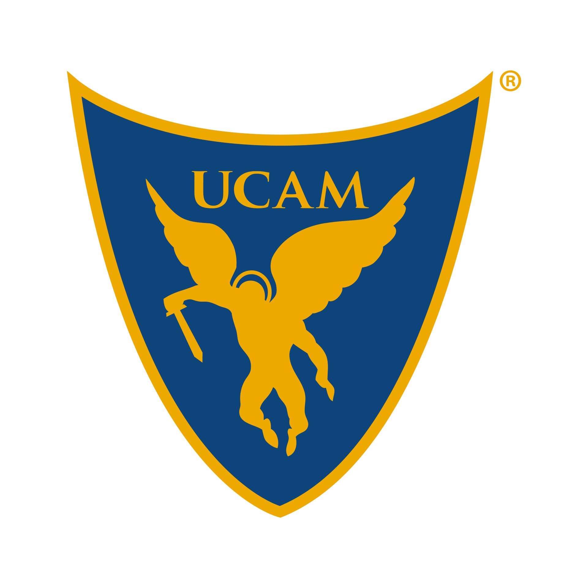 UCAM UCAM
